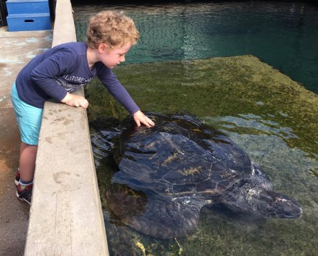 20883724_10156521147733712_693676146_o