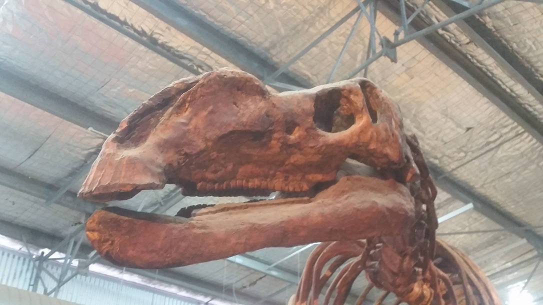 23828890_10156834063553712_468946176_o