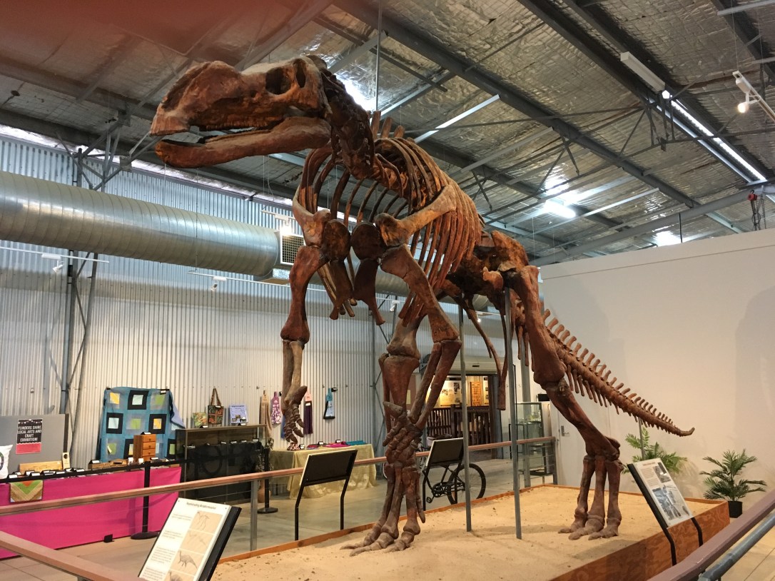 Full skeletal replica of Muttaburrasaurus Dinosaur