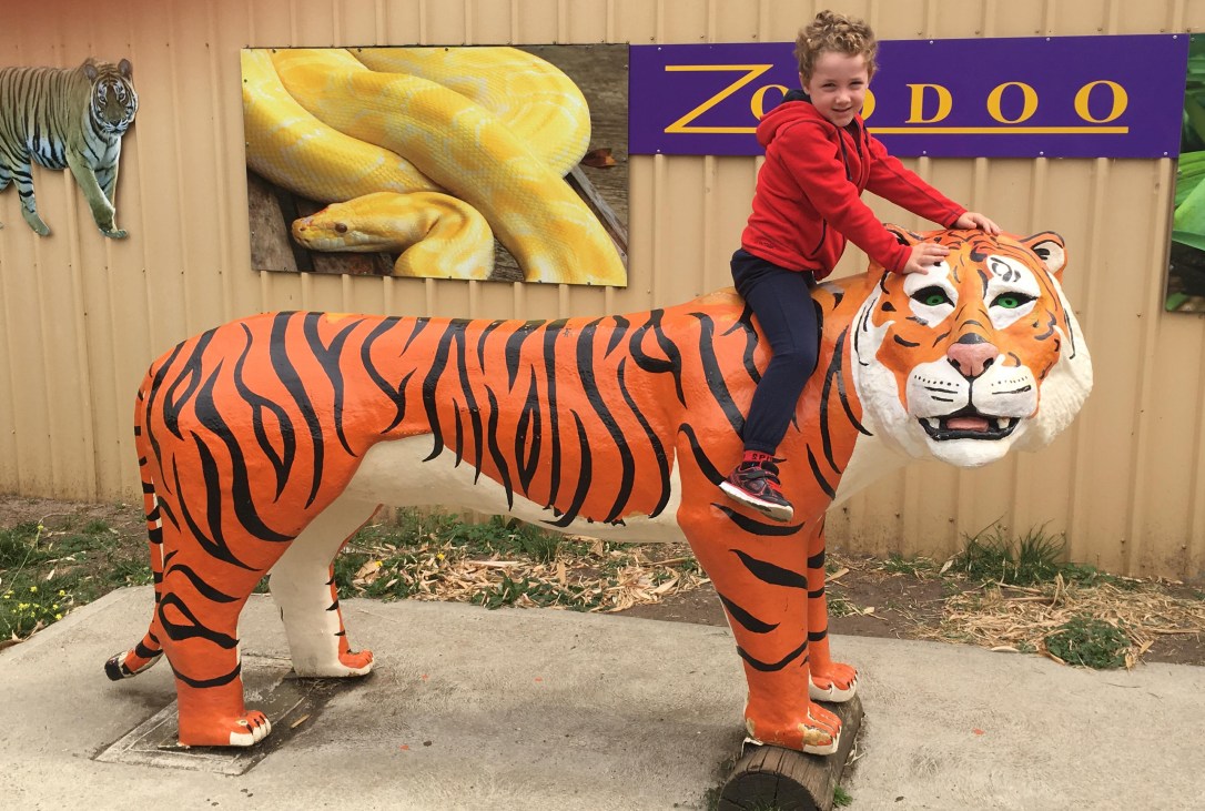 29526712_10157249395088712_2038768847_o