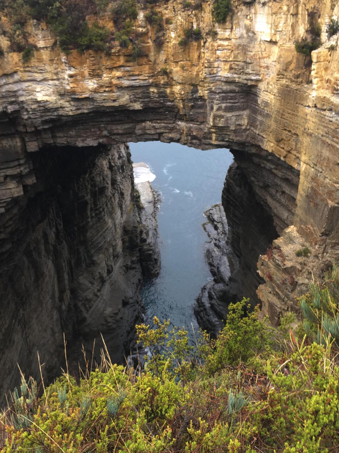 30070673_10157279957098712_1451102809_o