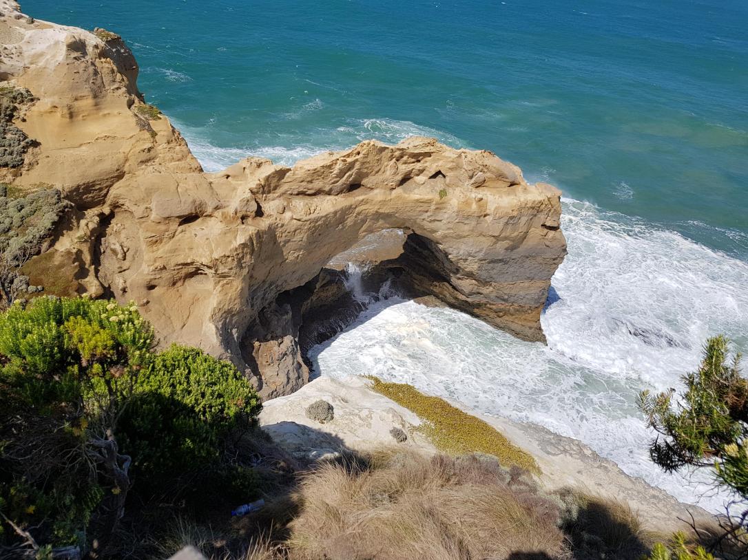 31959318_10157376526748712_2424003525236228096_n