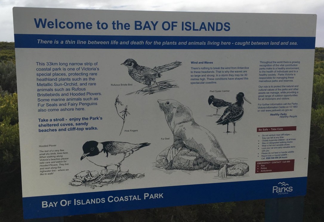 32187298_10157383933798712_2139868018149163008_n