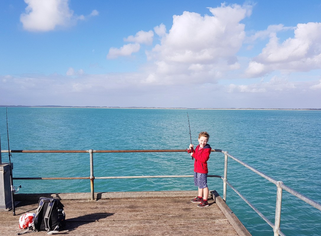 33362839_10157425554298712_6077658064217964544_n