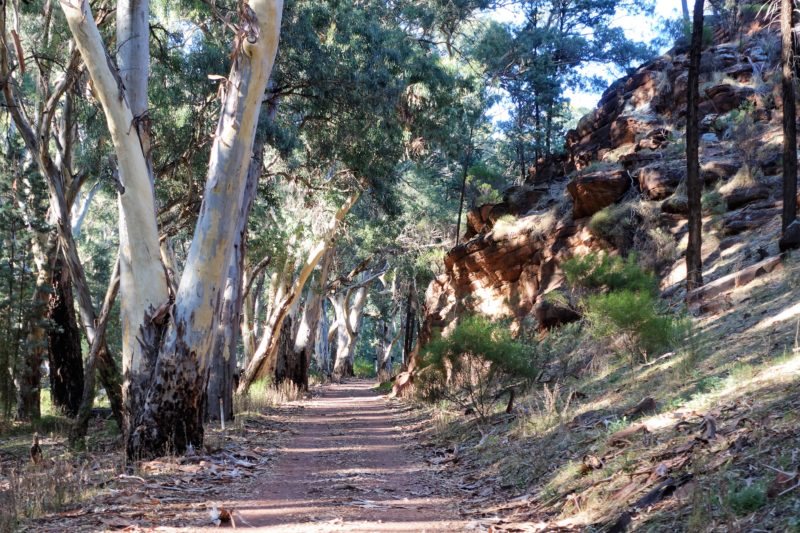 DSC04932-e1487982231687