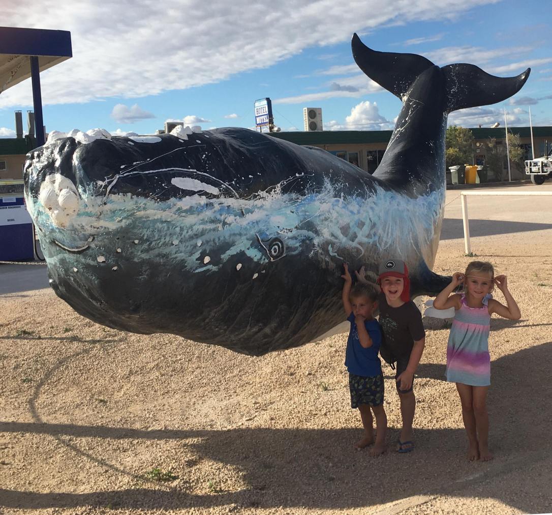 38470905_227021794668114_3410096594417090560_n