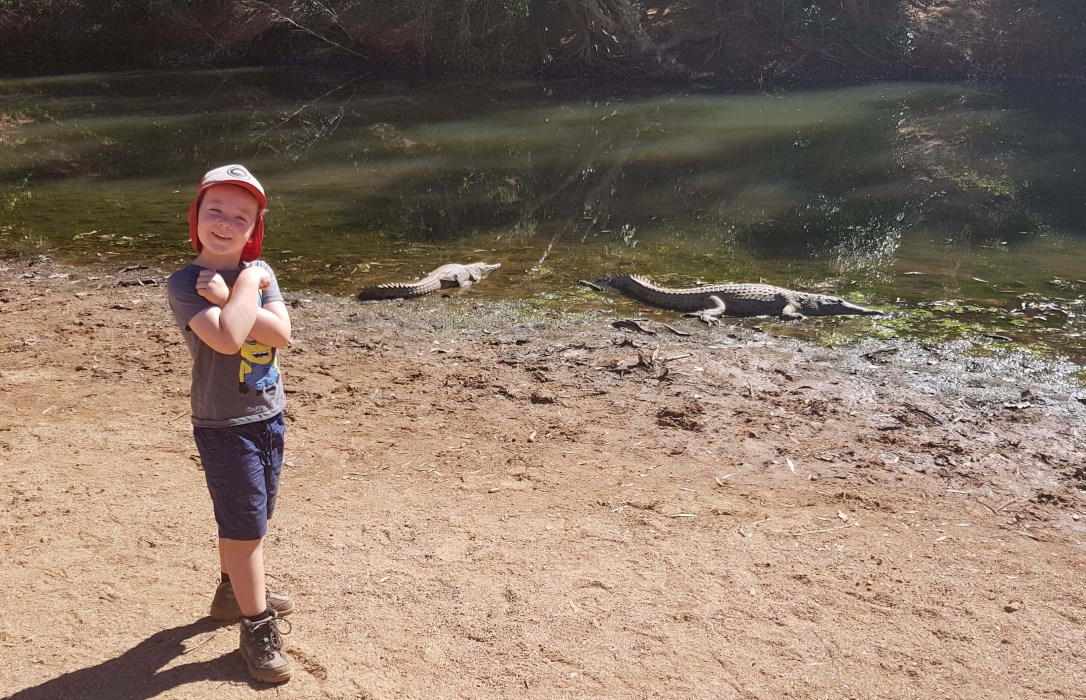 51077059_242776043334878_8621648669168369664_n