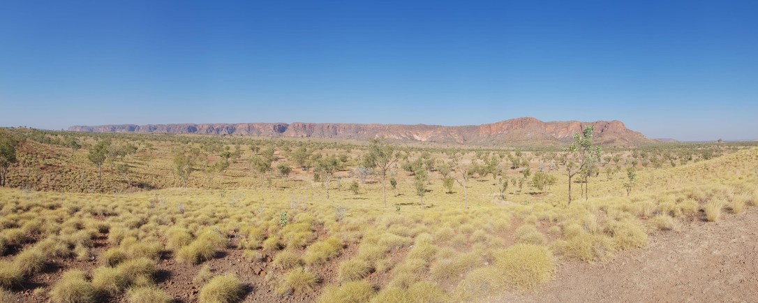 51314151_358027631458002_1419973070604468224_n