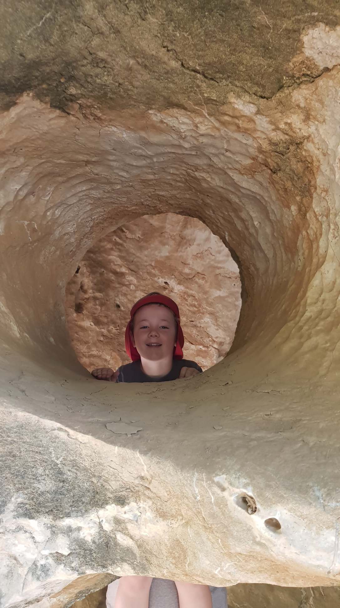 51329022_437050893500240_9095249412908646400_n