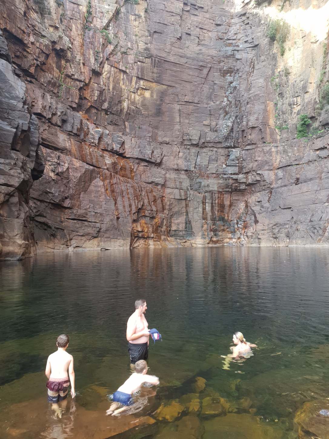 53310345_435583443649371_2714986133611085824_n