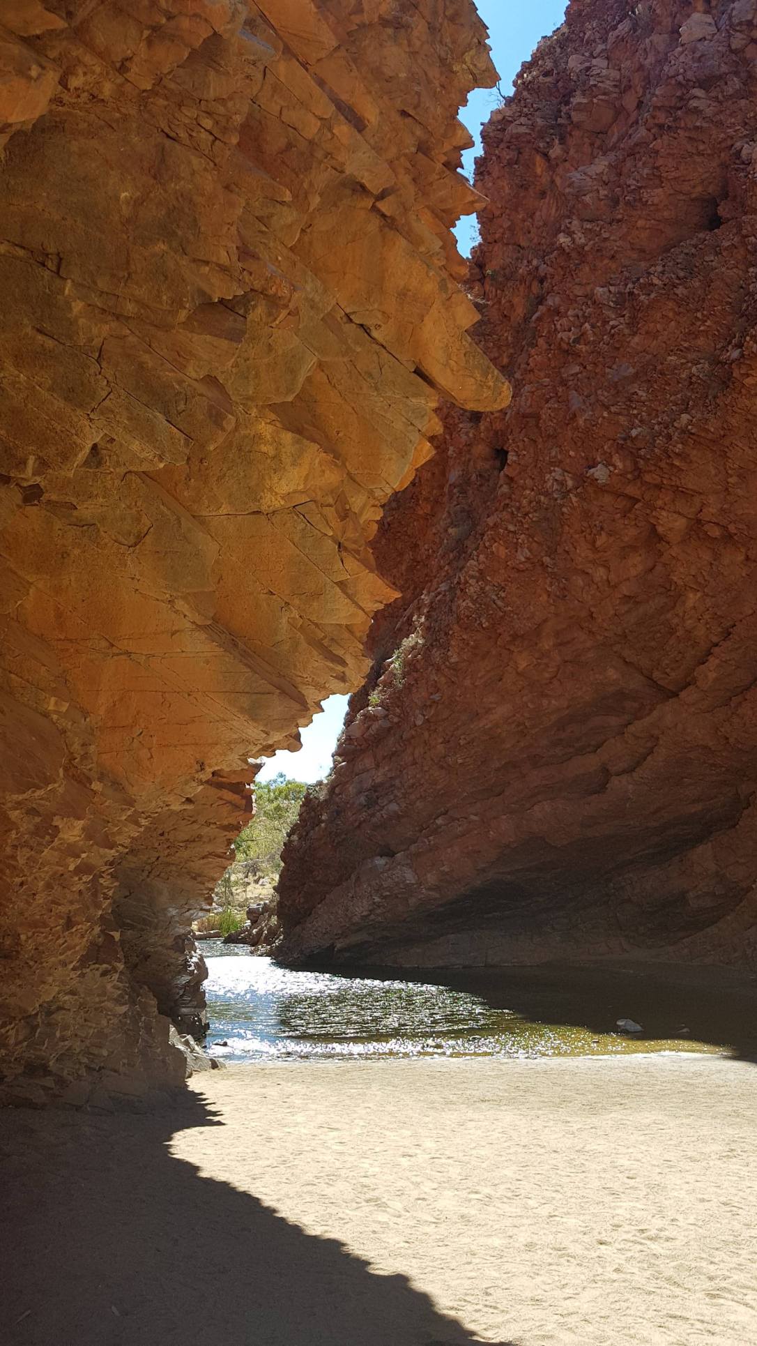 55450428_391159384998542_4927243948633620480_n