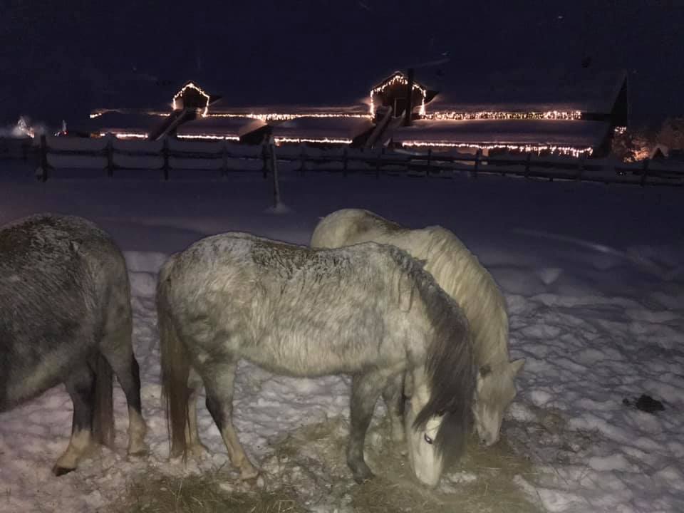 79902392_10156715667577522_8228429960654618624_n