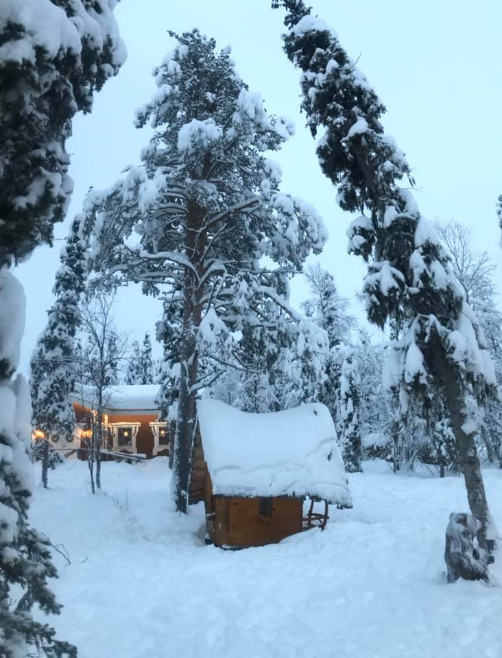 79976865_10156715669007522_2068578037846245376_n