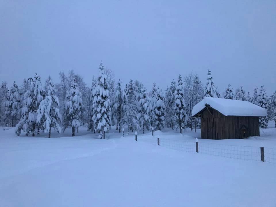 81395055_10156715667947522_3879834079499124736_n